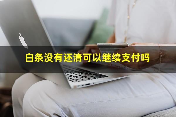 白条没有还清可以继续支付吗