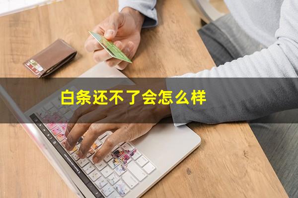 白条还不了会怎么样