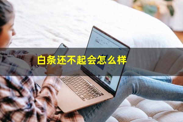 白条还不起会怎么样
