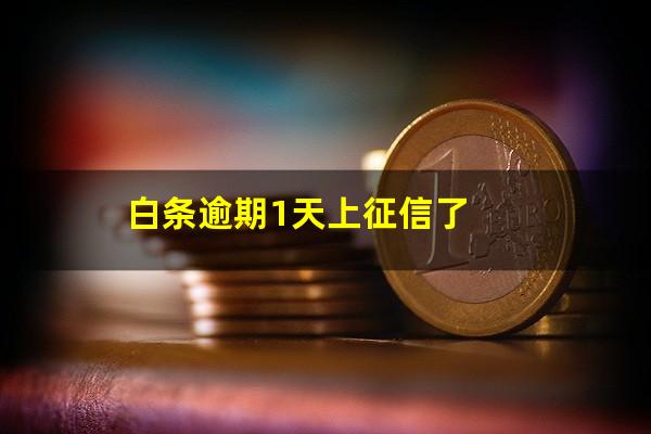 白条逾期1天上征信了