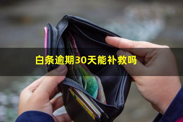白条逾期30天能补救吗