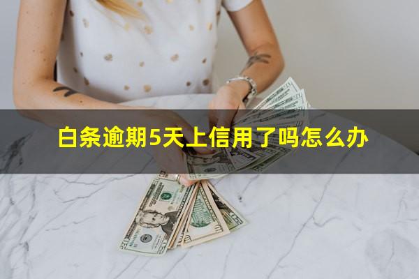 白条逾期5天上信用了吗怎么办