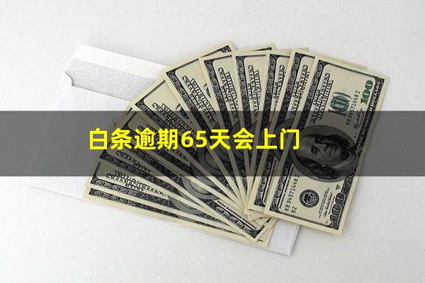 白条逾期65天会上门