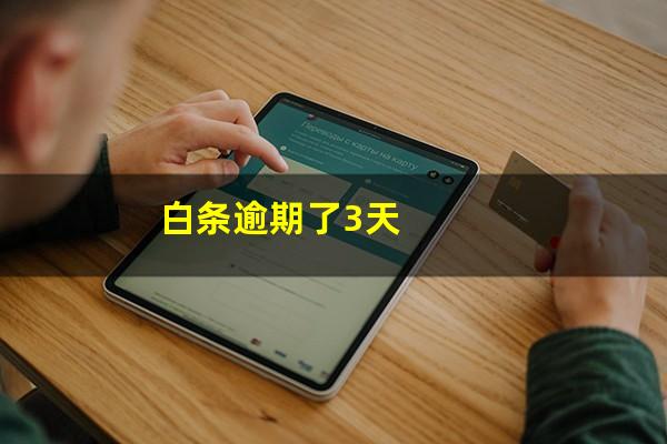 白条逾期了3天
