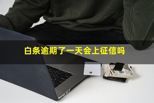 白条逾期了一天会上征信吗