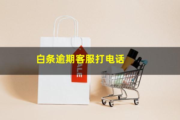 白条逾期客服打电话