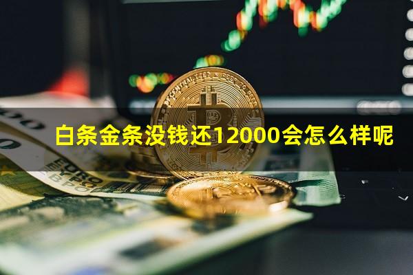 白条金条没钱还12000会怎么样呢