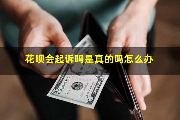 花呗会起诉吗是真的吗怎么办