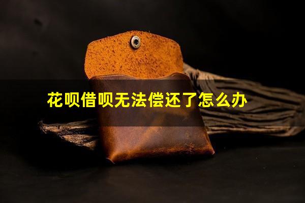 花呗借呗无法偿还了怎么办