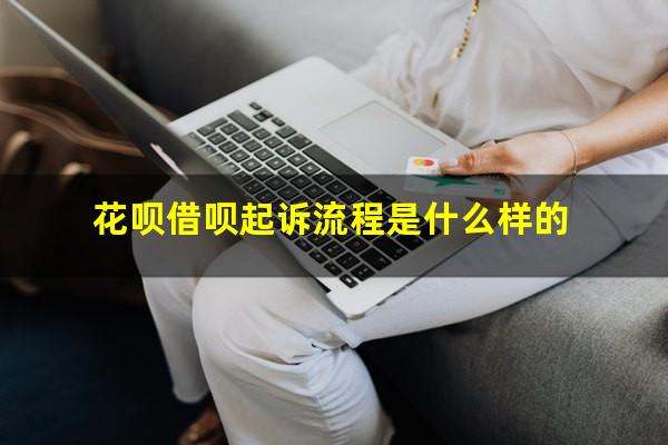 花呗借呗起诉流程是什么样的