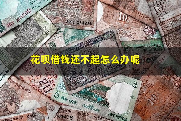 花呗借钱还不起怎么办呢