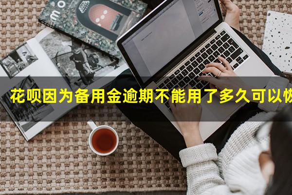 花呗因为备用金逾期不能用了多久可以恢复使用