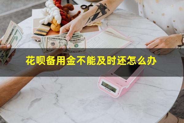 花呗备用金不能及时还怎么办