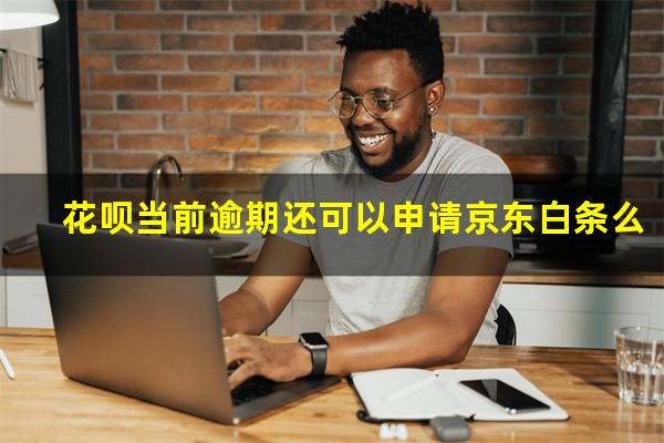 花呗当前逾期还可以申请京东白条么