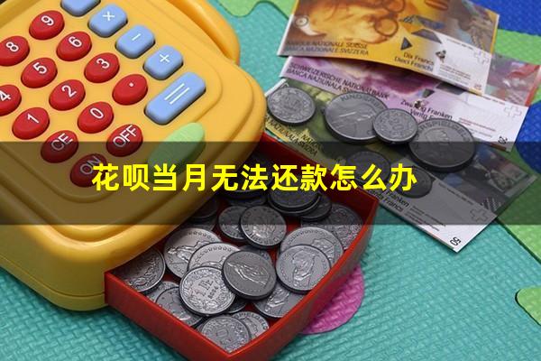 花呗当月无法还款怎么办