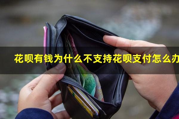 花呗有钱为什么不支持花呗支付怎么办
