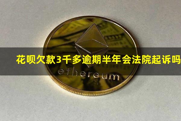 花呗欠款3千多逾期半年会法院起诉吗