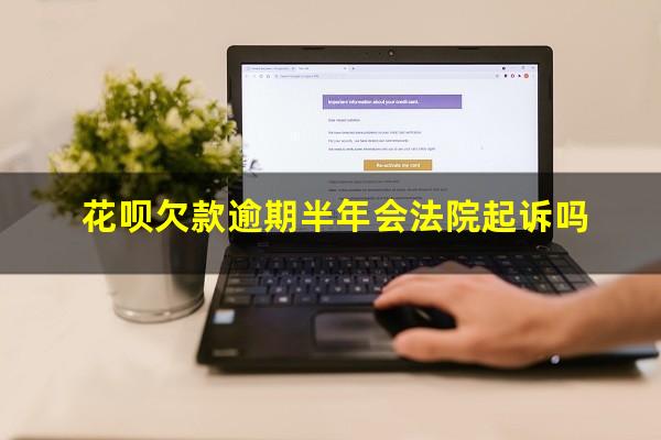 花呗欠款逾期半年会法院起诉吗