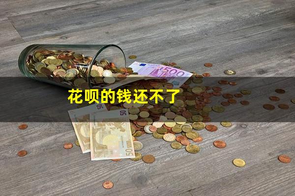花呗的钱还不了