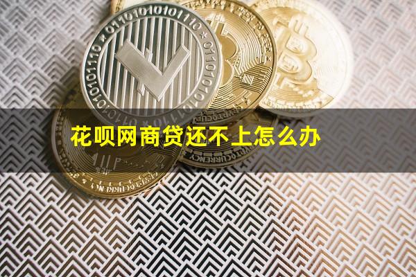 花呗网商贷还不上怎么办