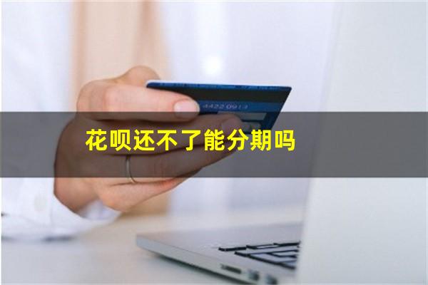 花呗还不了能分期吗