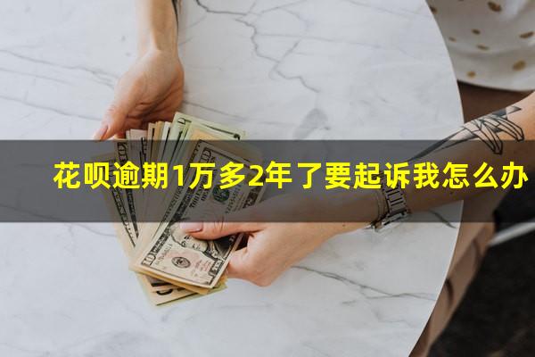 花呗逾期1万多2年了要起诉我怎么办