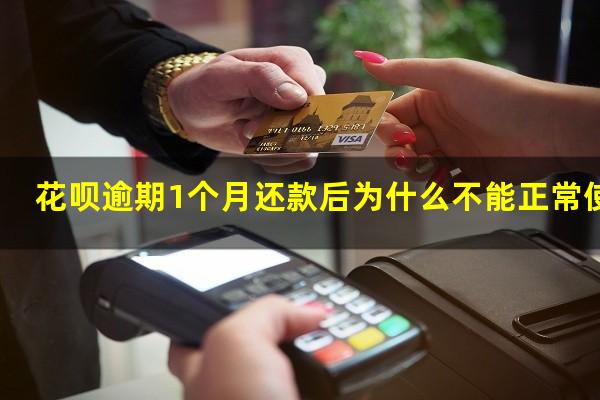 花呗逾期1个月还款后为什么不能正常使用