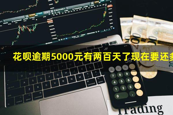 花呗逾期5000元有两百天了现在要还多少