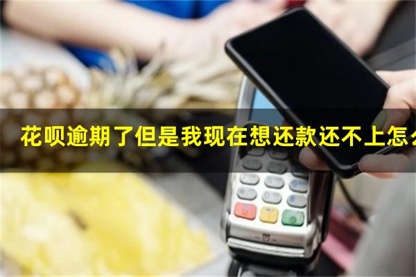 花呗逾期了但是我现在想还款还不上怎么办
