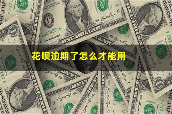 花呗逾期了怎么才能用