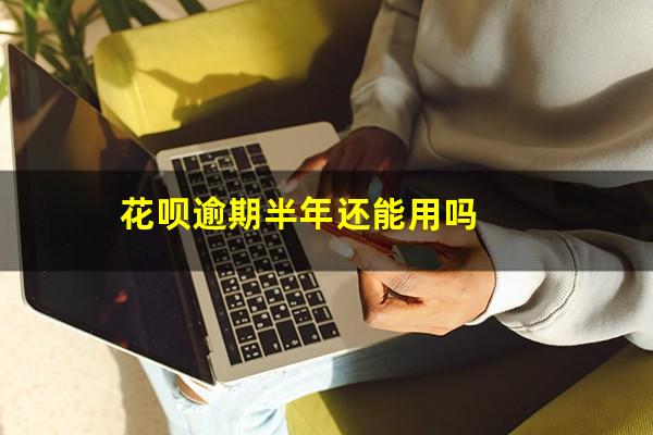 花呗逾期半年还能用吗