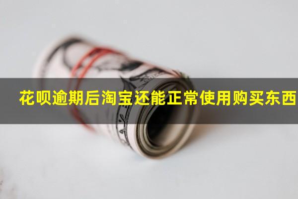 花呗逾期后淘宝还能正常使用购买东西吗