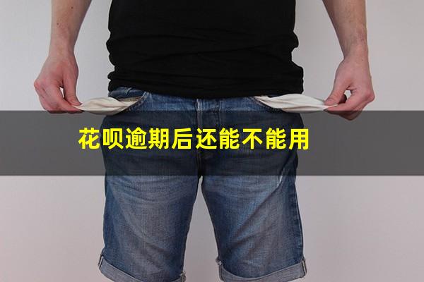 花呗逾期后还能不能用