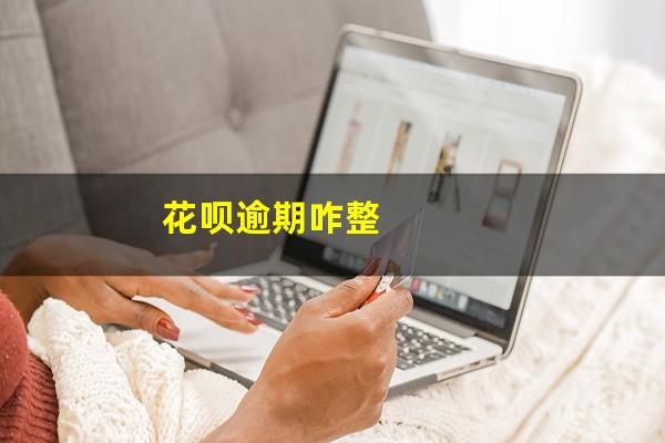 花呗逾期咋整