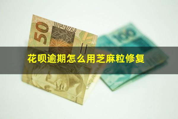 花呗逾期怎么用芝麻粒修复