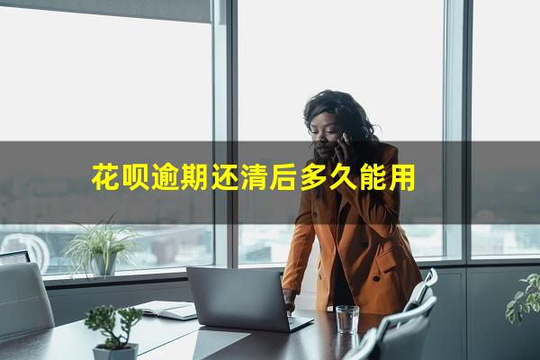 花呗逾期还清后多久能用