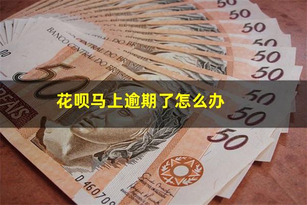 花呗马上逾期了怎么办