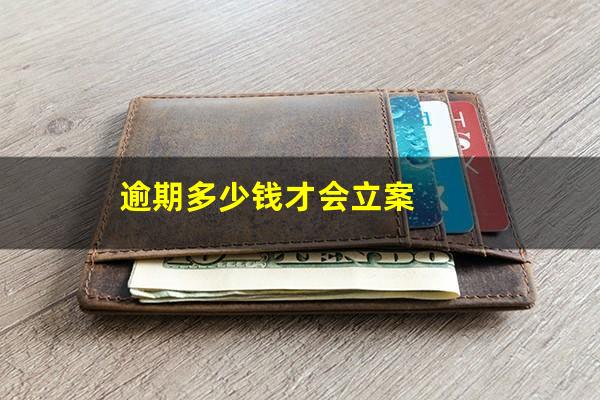 逾期多少钱才会立案