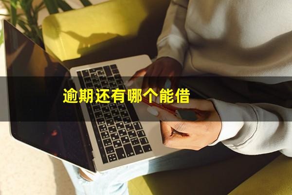 逾期还有哪个能借